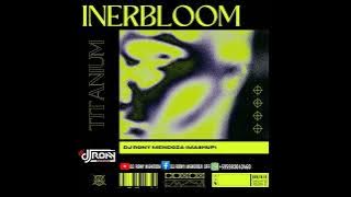 INERBLOOM ❌️ TITANIUM (DJ RONY MENDOZA EDIT)- DAVID GUETTA & RÜFÜS DU SOL