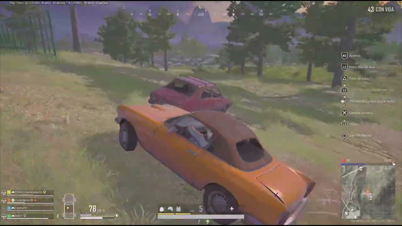 PUBG: FlackkSkinny-SG