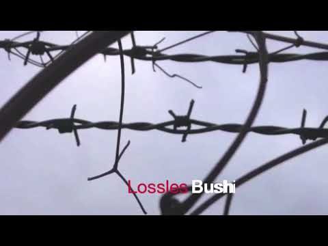 Losless - Bushi
