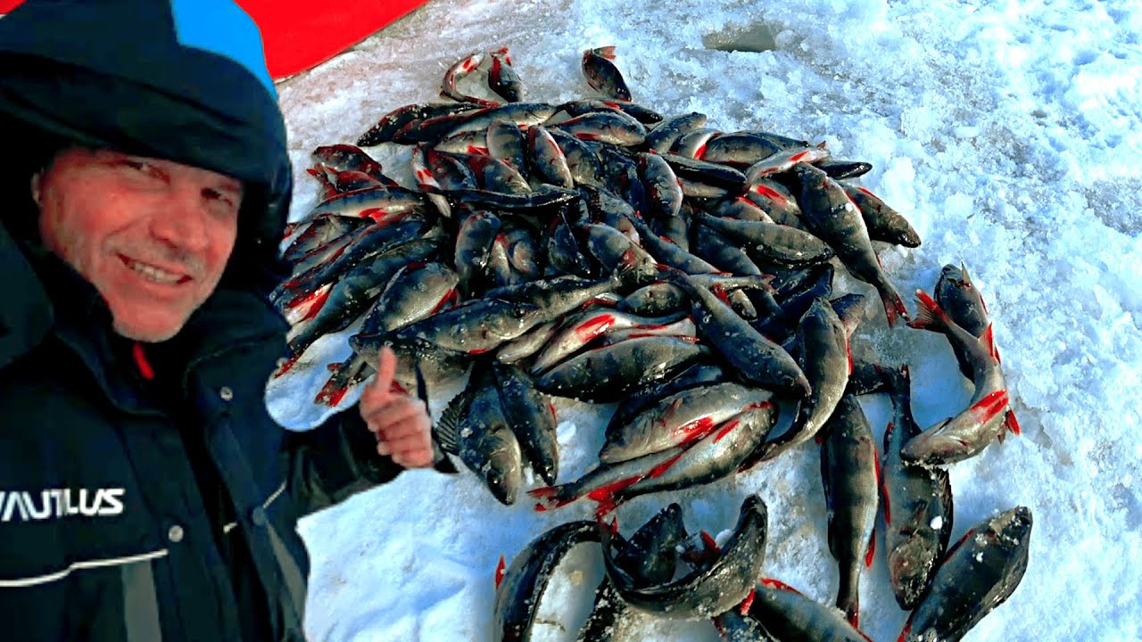 РЫБАЛКА НА ХИЩНИКА НАШЕЛ ОКУНЯ И ПОПАЛ НА ВЕСЕННИЙ ЖОР! (Зимняя рыбалка в Карелии 2025)