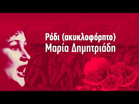 Βίντεο: Ρόδι Socotransky