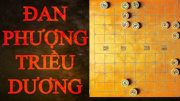 Thế cờ hiểm độc nhất quả đất - Đan Phượng Triều Dương