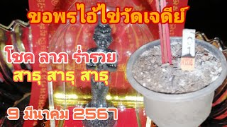 ดูให้จบคลิป !!! จุดธูปขอพรไอ้ไข่วัดเจดีย์​ โชค​ ลาภ​ ร่ำรวย​ 9​ มีนาคม​ 2567