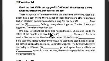 Multilevel reading part 1 exercise 24