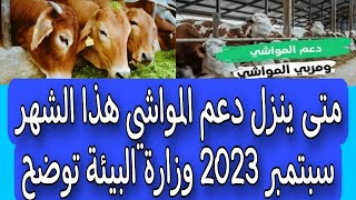 متى ينزل دعم المواشي هذا الشهر سبتمبر 2023 وزارة البيئة توضح