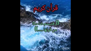 قران كريم ♥️ الحمد لله ♥️#دويتو #اكسبلور #beautiful