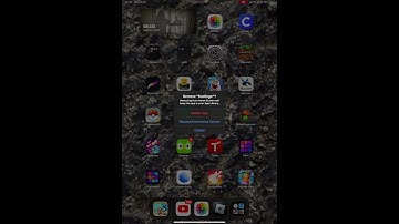 Deleting Duolingo and surviving