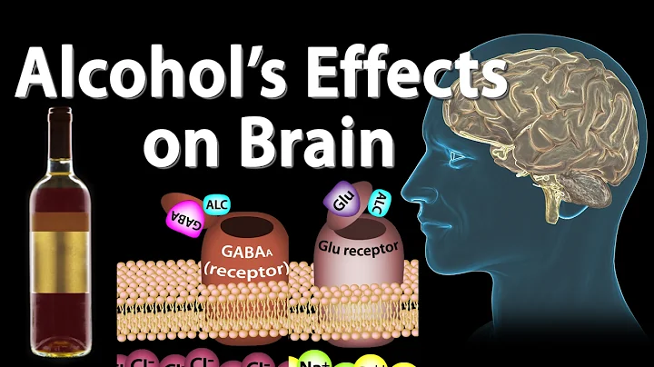 Effects of Alcohol on the Brain, Animation, Professional version. - DayDayNews