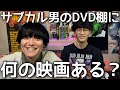 サブカル男のDVD棚にある癖丸出しの映画ラインナップ覗いてみた