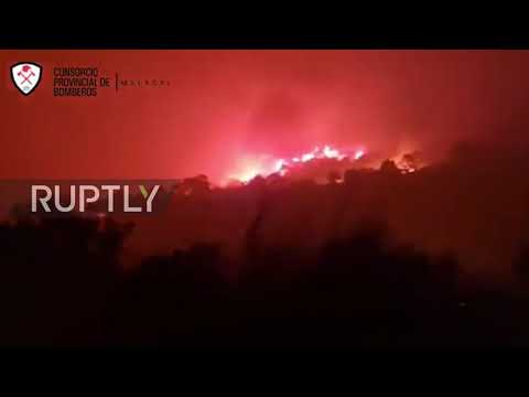 Spain: Forest fire forces evacuation of nearly 600 people in Malaga