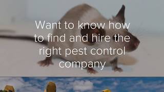 Santa Barbara pest control for restaurants