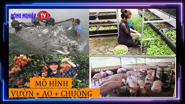 Mô hình vườn ao chuồng là gì