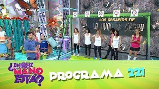Program 221 (11/27/2017) - Which hand is it in