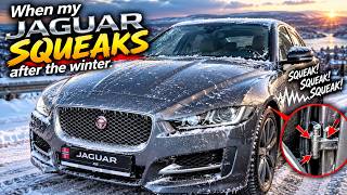 When my Jaguar squeaks after the winter