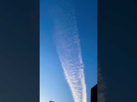 بدوي ترند حب بنت فلسطين الأردن شيلة هل لك سر عند الله سبحان الله