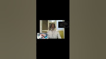 How Your Brain Powers Thought, Memory, and Mood