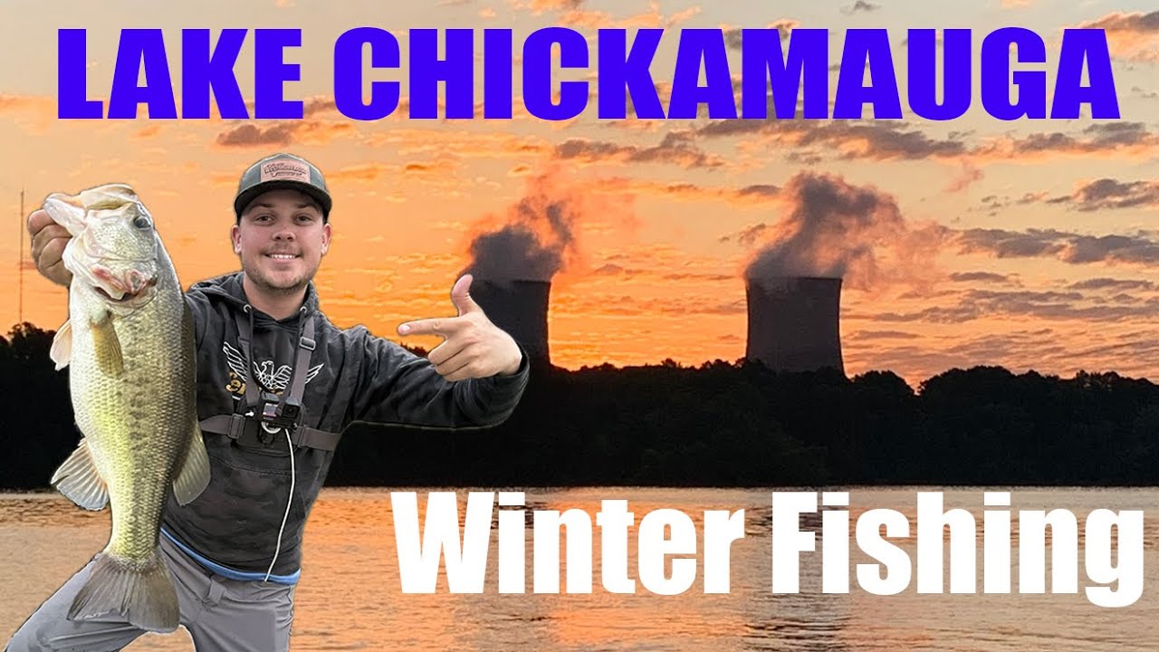 Catching GIANT Winter Bass on Lake CHICKAMAUGUA!! (How to use FFS to catch BIGS!)