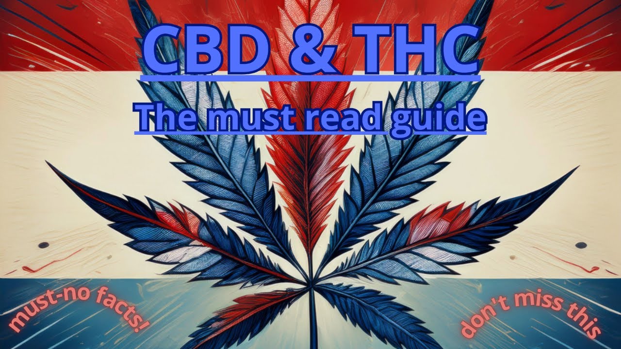 "CBD & THC Guide: Must-Know Facts!"