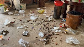 Life Deep Cleaning Home   