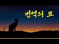 번역의 묘 (11) 관형격 조사 &#39;-의&#39; 의존도 낮추기