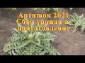 Артишок 2021