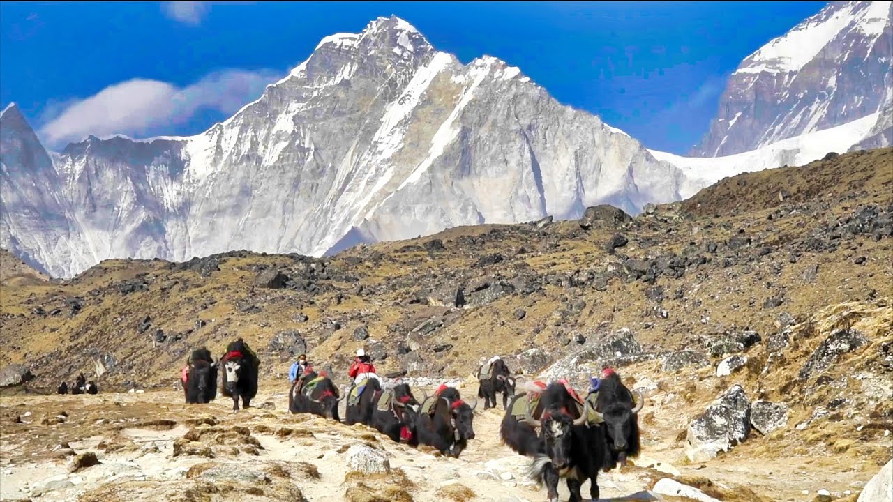 Land of the SHERPAS Walking under Mount Everest Everest Base Camp Land of the SHERPAS Walking under Mount Everest Everest Base Camp