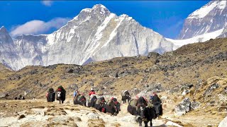 Land of the SHERPAS Walking under Mount Everest 4K Mount Everest Base Camp Trek | Full Documentary