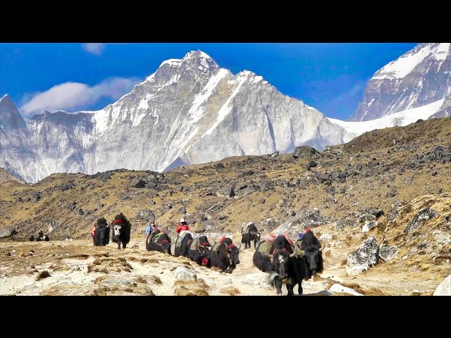 Land of the SHERPAS- Walking under Mount Everest 4K- Mount Everest Base Camp Trek | Full Documentary class=