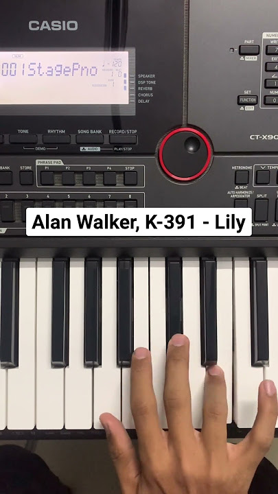 Alan Walker, K-391 - Lily song on piano | Piano Cover | Instrumental Soham