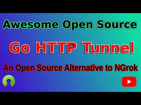 A free, open source reverse proxy written in Go. Access your Local Server from the Internet Easily