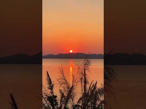 سآتيك فردا بجرح السنين بثقل الذنوب وعمق الحنين المصحف اكسبلور 