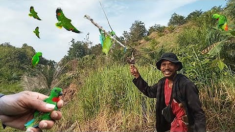 kalau pemikat serindit tau spot seperti ini ‼️ pasti pengen kesini terus