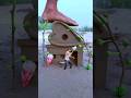 Creative sand heart trending short #amazing #heart #trending #funny #videography #shorts