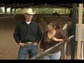 Nrha inside reining  todd martin performance horses tease