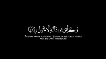 الذين صبروا وعلى ربهم يتوكلون|كروما قرآن القارئ عبدالرحمن مسعد |سورة العنكبوت|