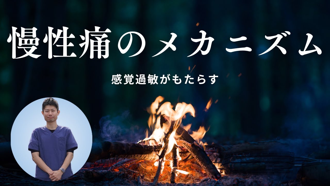 なぜあなたの痛みは何をしても改善しないのか？/慢性痛の専門家が詳しく解説