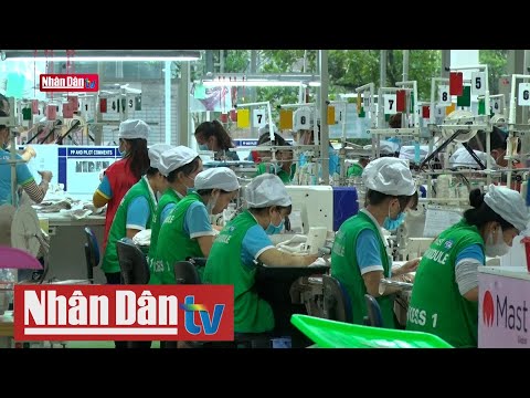 Video: Thời hạn nộp thuế theo phương thức đơn giản hóa là quý 1 năm 2022 đối với pháp nhân