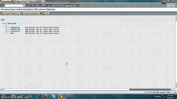 SAP Security Training How do we transfer users to CUA Master   YouTube
