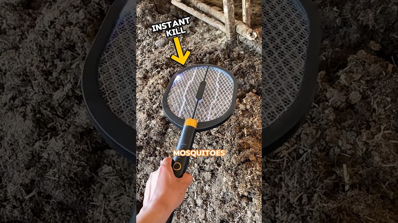 How an Electric Racket Actually Destroys Mosquitoes?