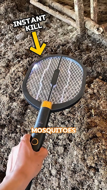 How an Electric Racket Actually Destroys Mosquitoes?