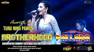 TURU NING PAWON - ANA RISTA - NEW PALLAPA - LIVE BROTHERHOODS 2023