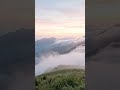 Don’t Scroll… Just Feel This 🌄 | Misty Mountain Morning with mist #short #aurora #calm #morning