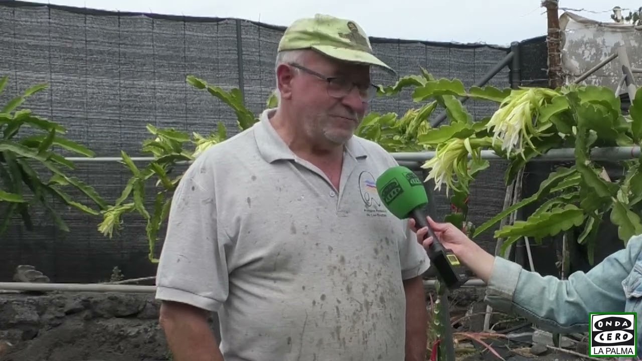 Onda Agraria - Cultivo de la Pitaya en La Palma