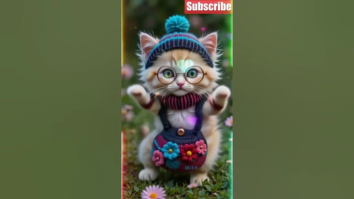 Video 11783601: cats catlover cutecat funny, cutecats dance catlover funny, cats catlover cute funny