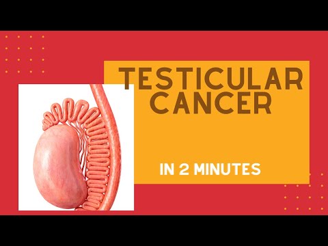 Testicular cancer in under 2 mins!