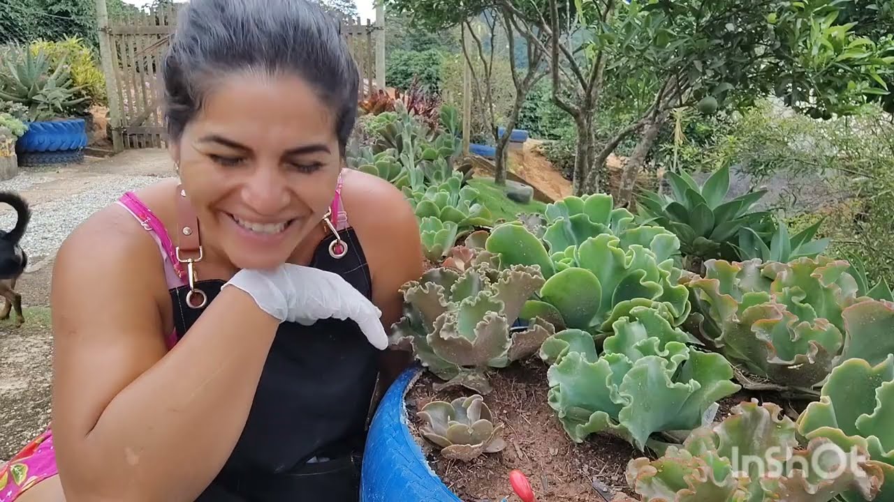 Identificando gibifloras de sementes e fazendo a poda delas, que orgulho 