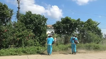 SHOCK! Monster Python Found in a 100-Year-Old Abandoned House – Fierce Chainsaw Battle | Clean Up!
