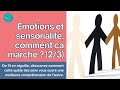 Emotions Et Sensorialité Comment ça Marche 2 3 mp3
