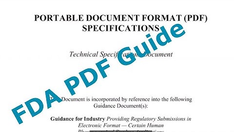 Best Practice for FDA PDF guide as Statistical Programmer