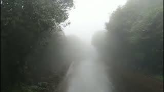 ODY MALIK : KASIAH MAMBAKEH